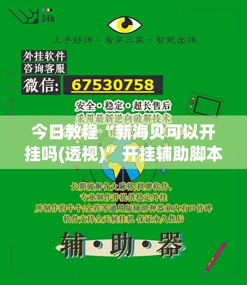 今日教程“新海贝可以开挂吗(透视)”开挂辅助脚本+详细开挂安装教程