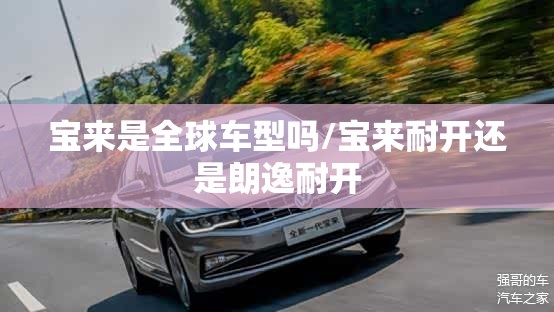 宝来是全球车型吗/宝来耐开还是朗逸耐开