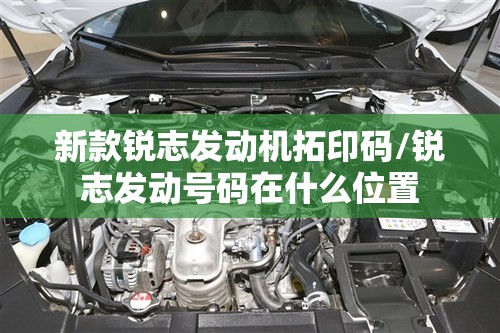 新款锐志发动机拓印码/锐志发动号码在什么位置