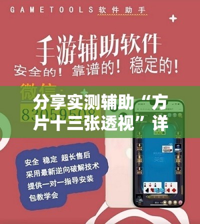 分享实测辅助“方片十三张透视”详细外挂透视辅助软件教程