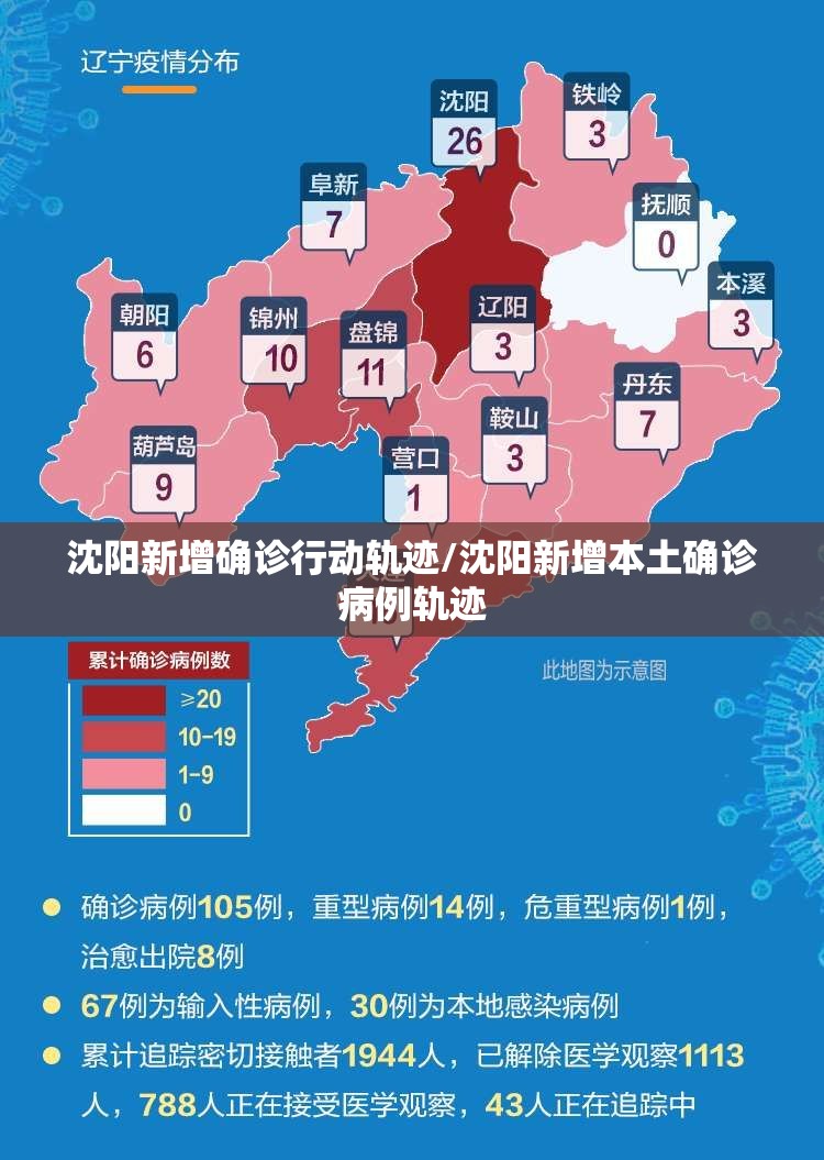 沈阳新增确诊行动轨迹/沈阳新增本土确诊病例轨迹 沈阳新增确诊行动轨迹/沈阳新增本土确诊病例轨迹