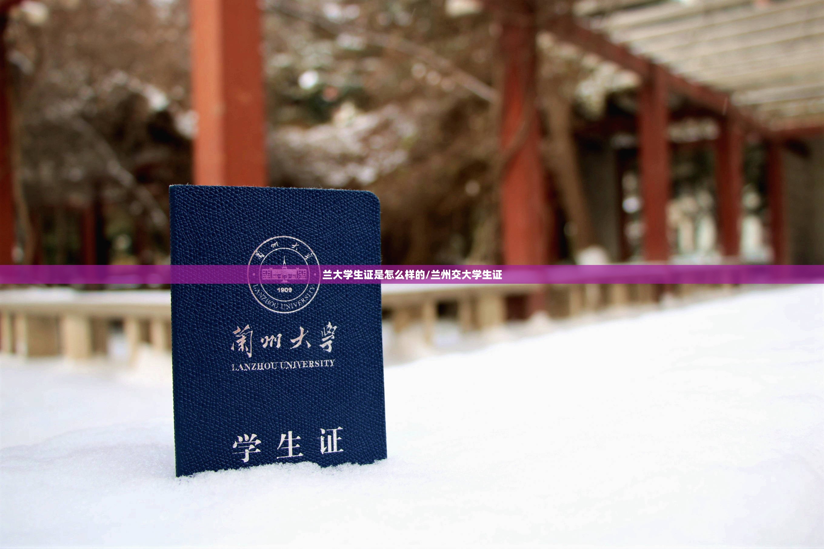 兰大学生证是怎么样的/兰州交大学生证