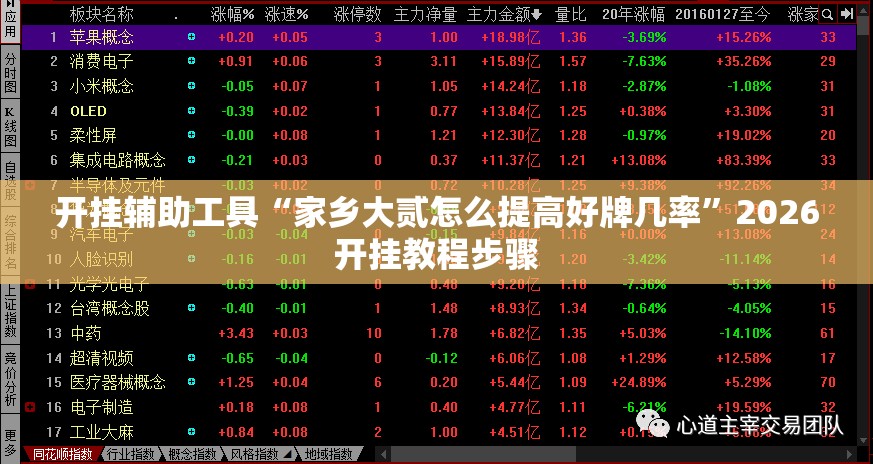 开挂辅助工具“家乡大贰怎么提高好牌几率”2026开挂教程步骤