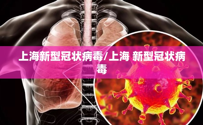 上海新型冠状病毒/上海 新型冠状病毒