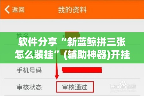软件分享“新蓝鲸拼三张怎么装挂”(辅助神器)开挂详细教程