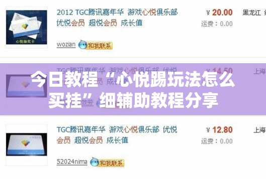 今日教程“心悦踢玩法怎么买挂”细辅助教程分享
