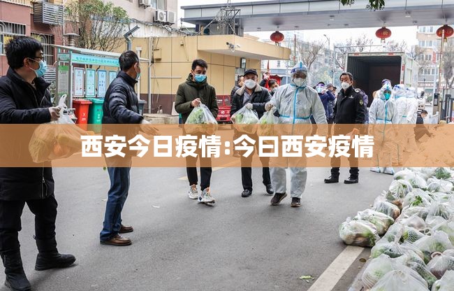 西安今日疫情:今曰西安疫情