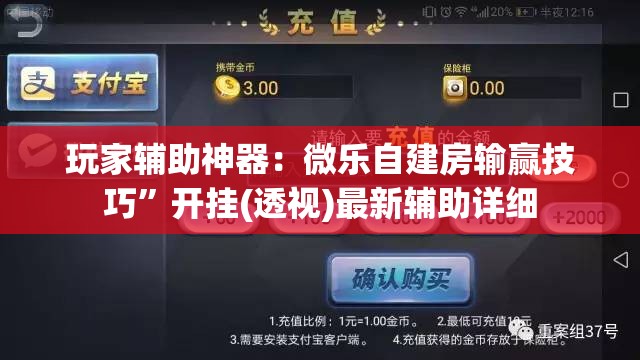 玩家辅助神器：微乐自建房输赢技巧”开挂(透视)最新辅助详细