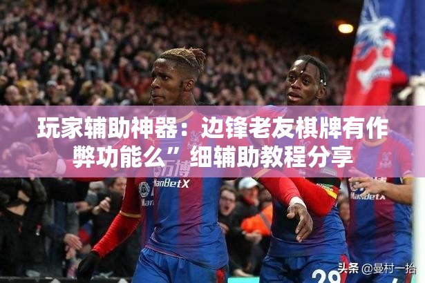 玩家辅助神器：边锋老友棋牌有作弊功能么	”细辅助教程分享