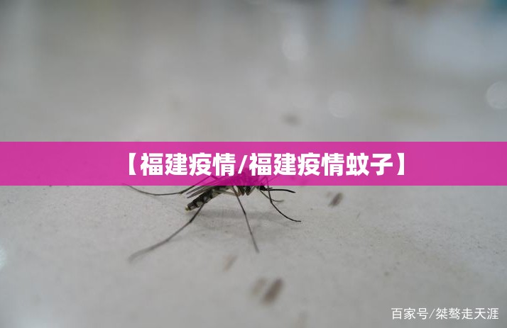 【福建疫情/福建疫情蚊子】