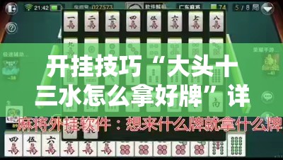 开挂技巧“大头十三水怎么拿好牌”详细外挂透视辅助软件教程