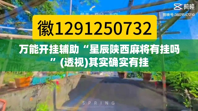 万能开挂辅助“星辰陕西麻将有挂吗”(透视)其实确实有挂