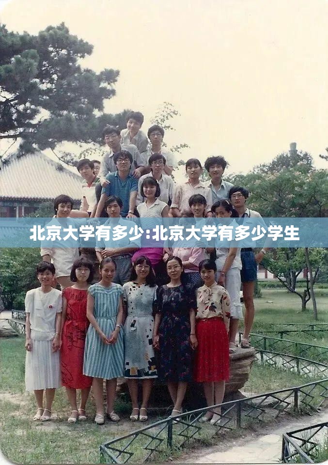 北京大学有多少:北京大学有多少学生 北京大学有多少:北京大学有多少学生