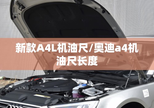 新款A4L机油尺/奥迪a4机油尺长度