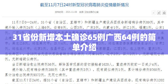 31省份新增本土确诊65例广西64例的简单介绍