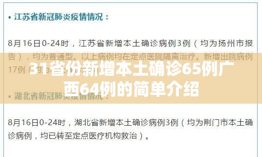 31省份新增本土确诊65例广西64例的简单介绍