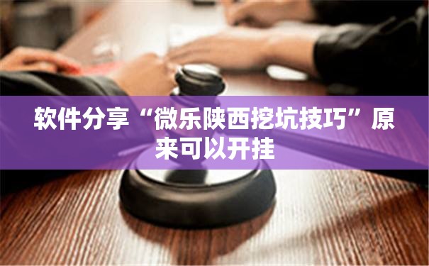 软件分享“微乐陕西挖坑技巧”原来可以开挂