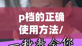 p档的正确使用方法/p档什么用