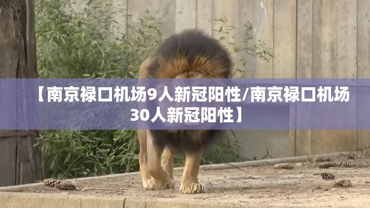 【南京禄口机场9人新冠阳性/南京禄口机场30人新冠阳性】