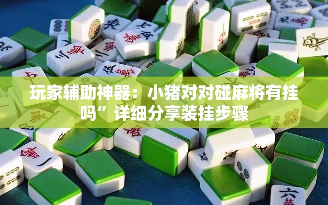 玩家辅助神器：小猪对对碰麻将有挂吗”详细分享装挂步骤