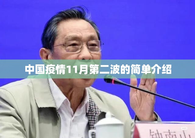 中国疫情11月第二波的简单介绍 中国疫情11月第二波的简单介绍