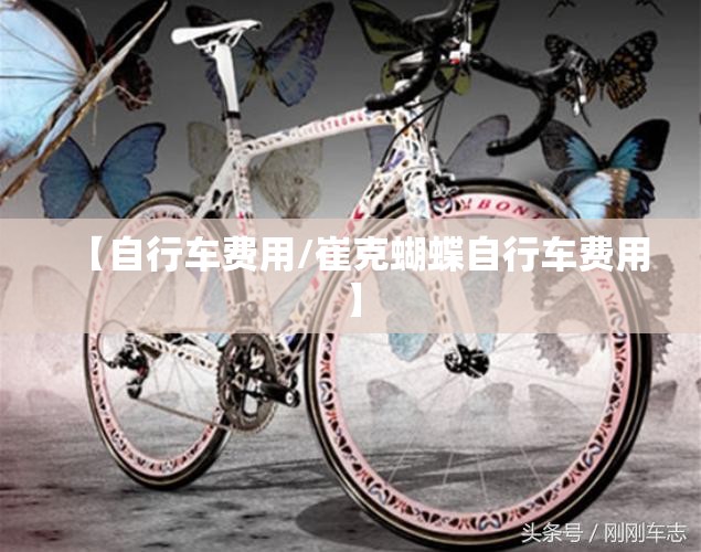 【自行车费用/崔克蝴蝶自行车费用】