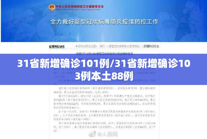 31省新增确诊101例/31省新增确诊103例本土88例