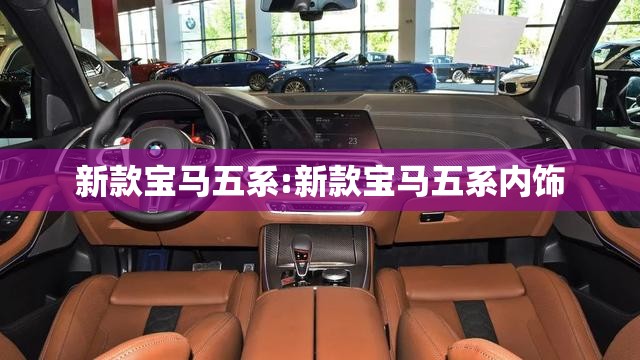 新款宝马五系:新款宝马五系内饰
