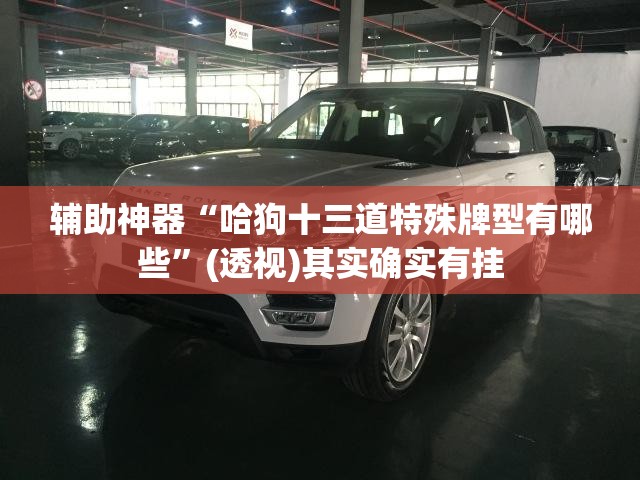 辅助神器“哈狗十三道特殊牌型有哪些	”(透视)其实确实有挂
