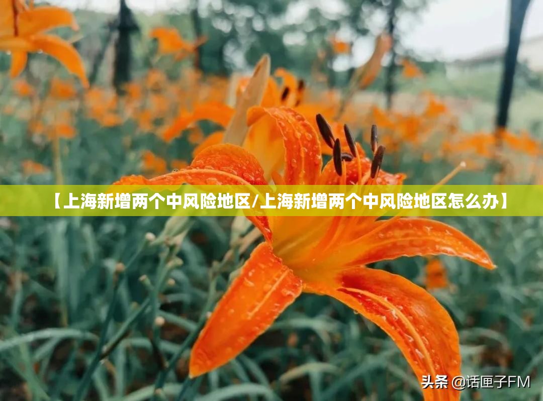 【上海新增两个中风险地区/上海新增两个中风险地区怎么办】