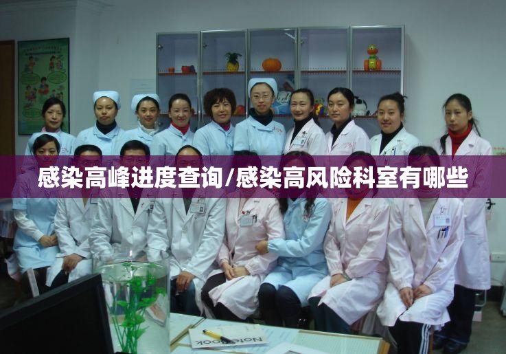 感染高峰进度查询/感染高风险科室有哪些