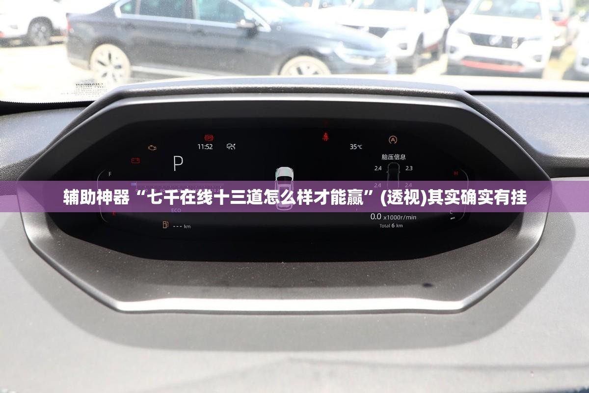 辅助神器“七千在线十三道怎么样才能赢	”(透视)其实确实有挂