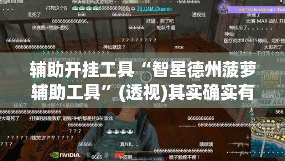辅助开挂工具“智星德州菠萝辅助工具”(透视)其实确实有挂