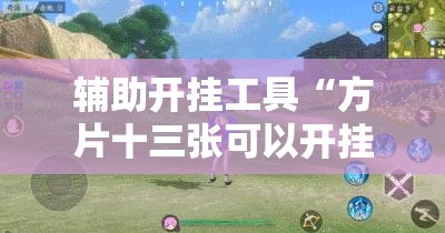 辅助开挂工具“方片十三张可以开挂吗”其实确实有挂