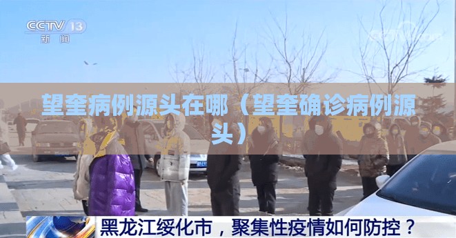 望奎病例源头在哪（望奎确诊病例源头）