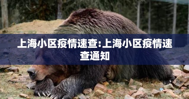 上海小区疫情速查:上海小区疫情速查通知