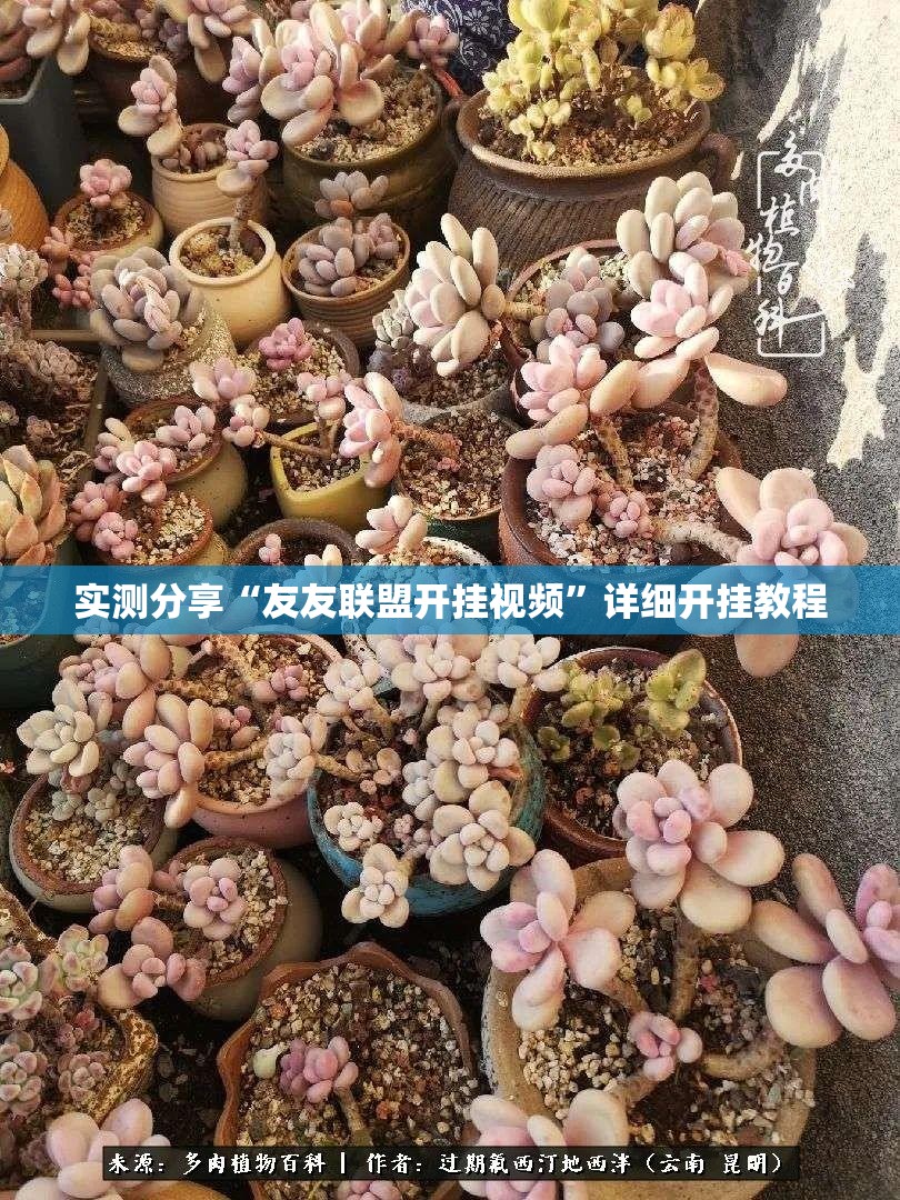 实测分享“友友联盟开挂视频	”详细开挂教程