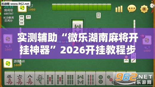 实测辅助“微乐湖南麻将开挂神器”2026开挂教程步骤