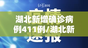 湖北新增确诊病例411例/湖北新增确诊病例411例是哪里的