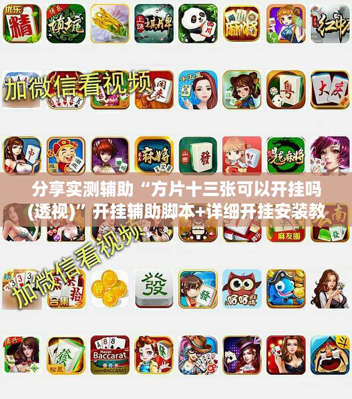 分享实测辅助“方片十三张可以开挂吗(透视)”开挂辅助脚本+详细开挂安装教程