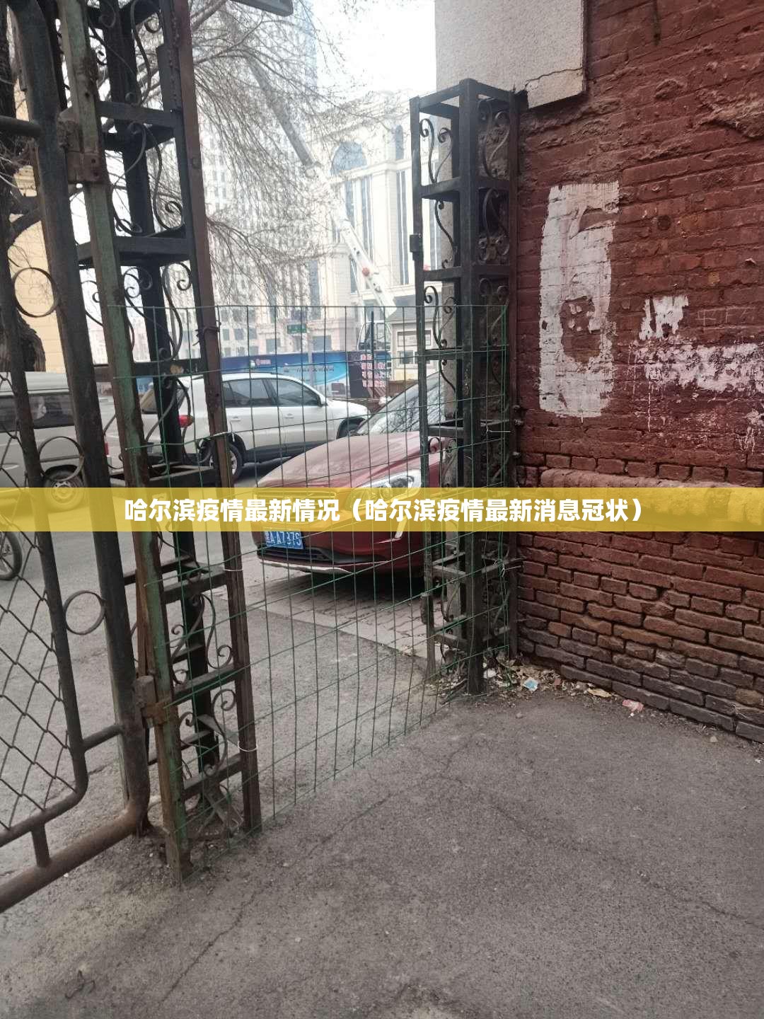 哈尔滨疫情最新情况（哈尔滨疫情最新消息冠状）