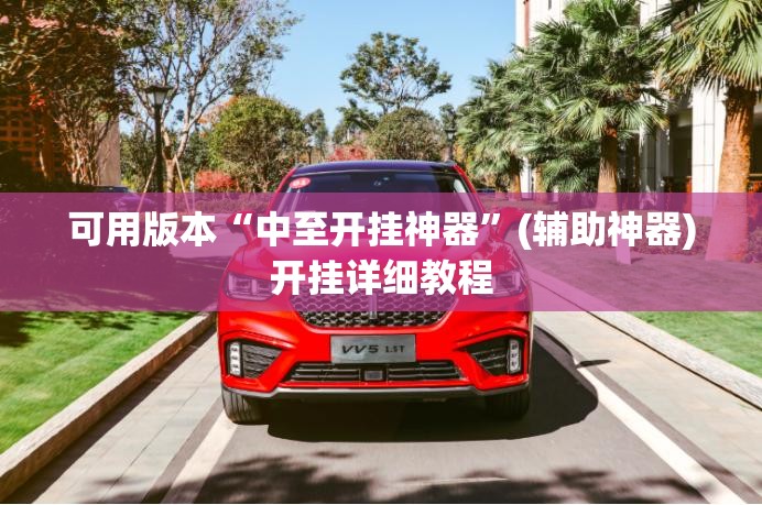 可用版本“中至开挂神器”(辅助神器)开挂详细教程