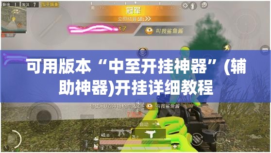 可用版本“中至开挂神器”(辅助神器)开挂详细教程