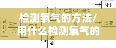检测氧气的方法/用什么检测氧气的存在