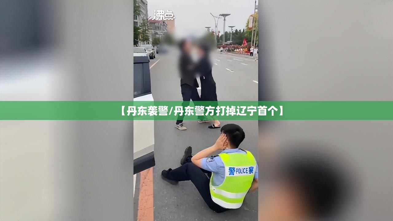 【丹东袭警/丹东警方打掉辽宁首个】