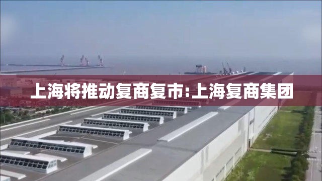 上海将推动复商复市:上海复商集团