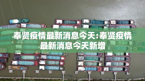 奉贤疫情最新消息今天:奉贤疫情最新消息今天新增