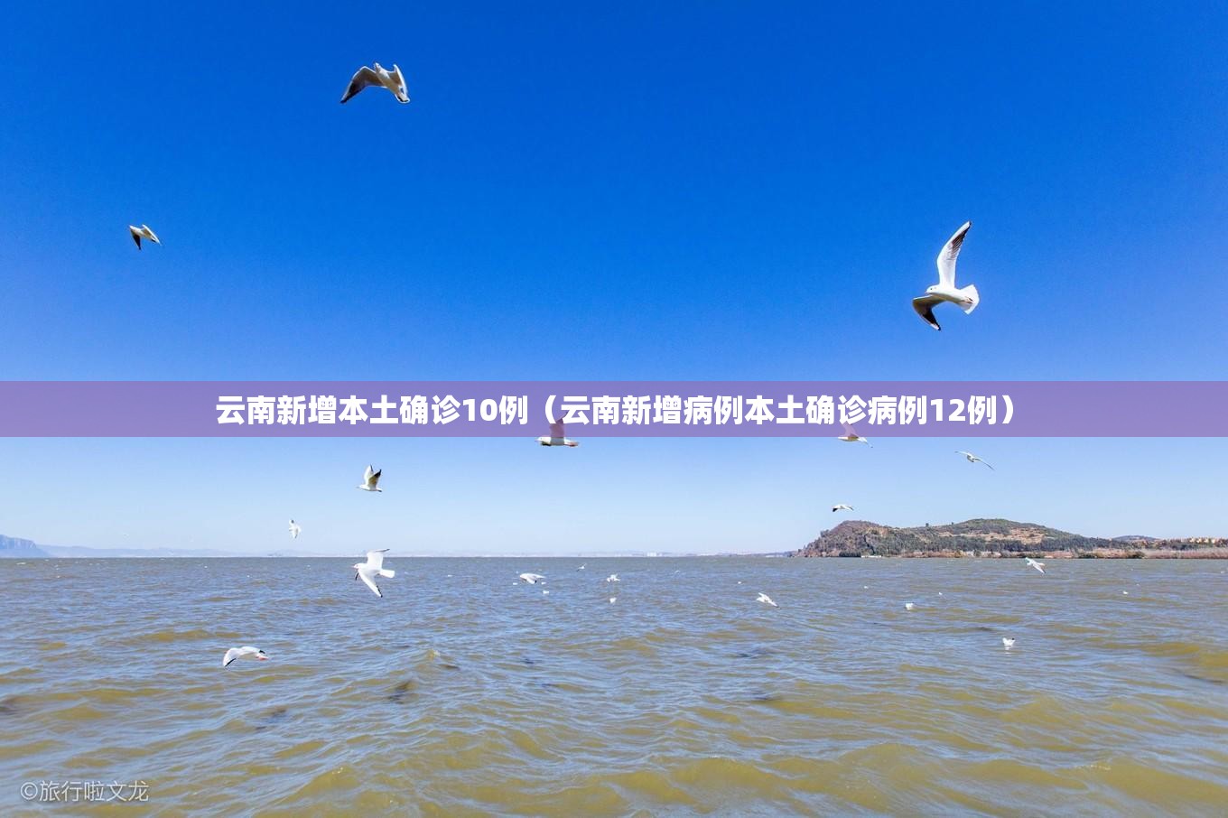 云南新增本土确诊10例(云南新增病例本土确诊病例12例) 云南新增本土确诊10例(云南新增病例本土确诊病例12例)