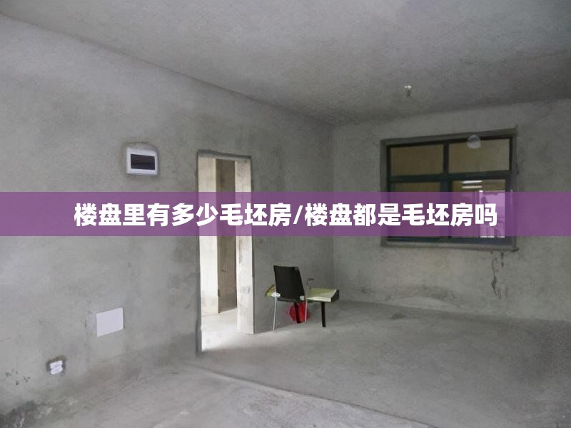 楼盘里有多少毛坯房/楼盘都是毛坯房吗