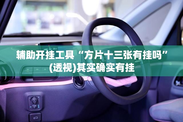 辅助开挂工具“方片十三张有挂吗”(透视)其实确实有挂